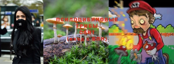 стафф Бронницы