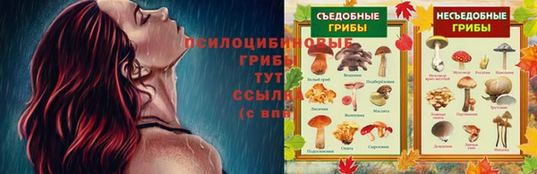 ALPHA PVP Бородино